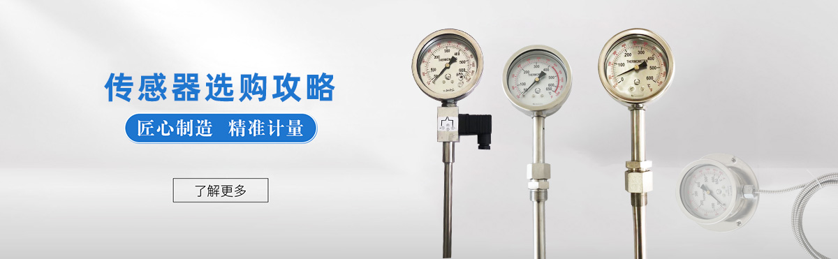 熱電阻廠家